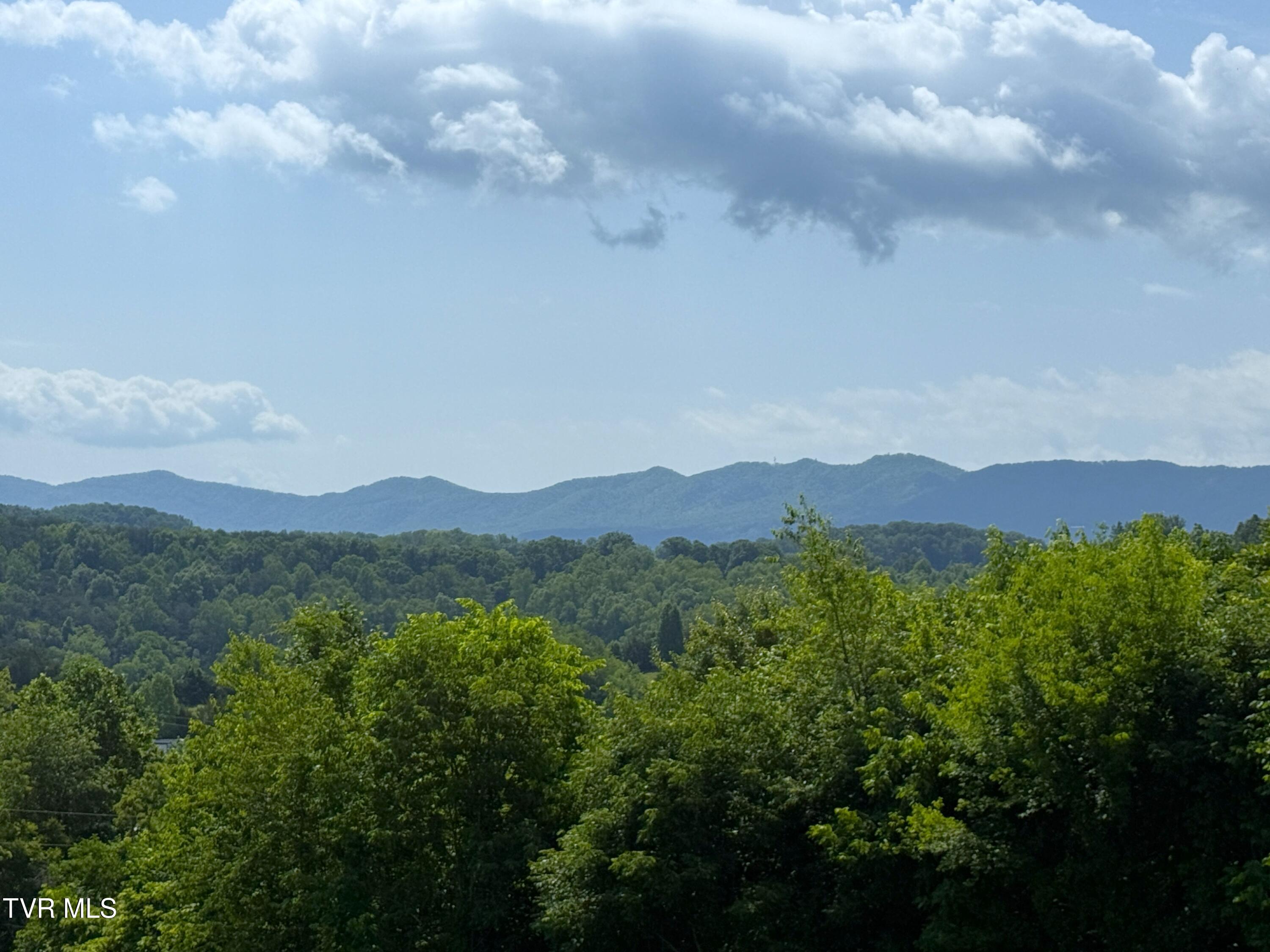 1086 Highland Meadows Way, Parrottsville, Tennessee image 32