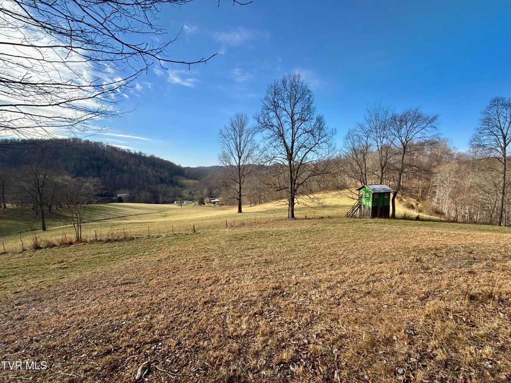 Photo of 219 Ridge Road, Eidson, TN 37731 (MLS # 9991433)