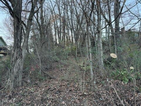 Tbd Briscoe Drive, Bristol, Virginia image 6