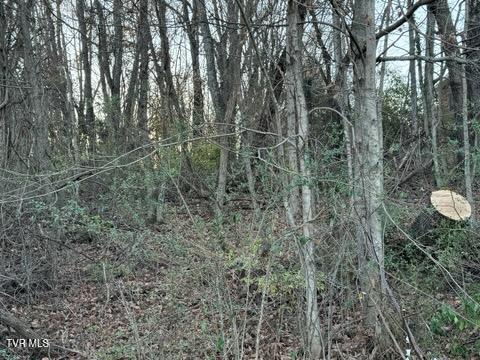 Tbd Briscoe Drive, Bristol, Virginia image 3