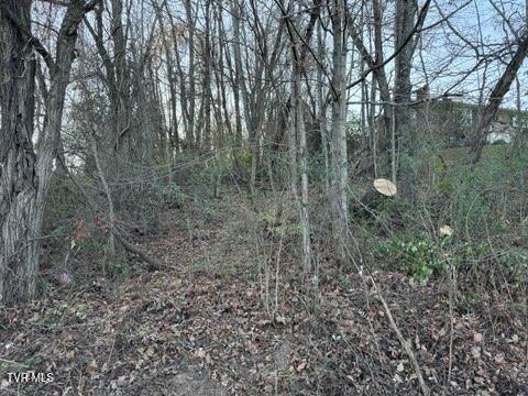 Vacant Land For Sale - TBD Briscoe Drive<br/> Bristol, VA 24202
