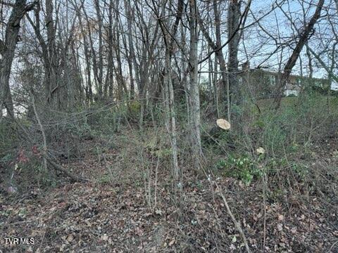 Tbd Briscoe Drive, Bristol, Virginia image 5