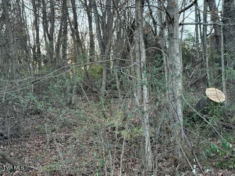 Tbd Briscoe Drive, Bristol, Virginia image 4
