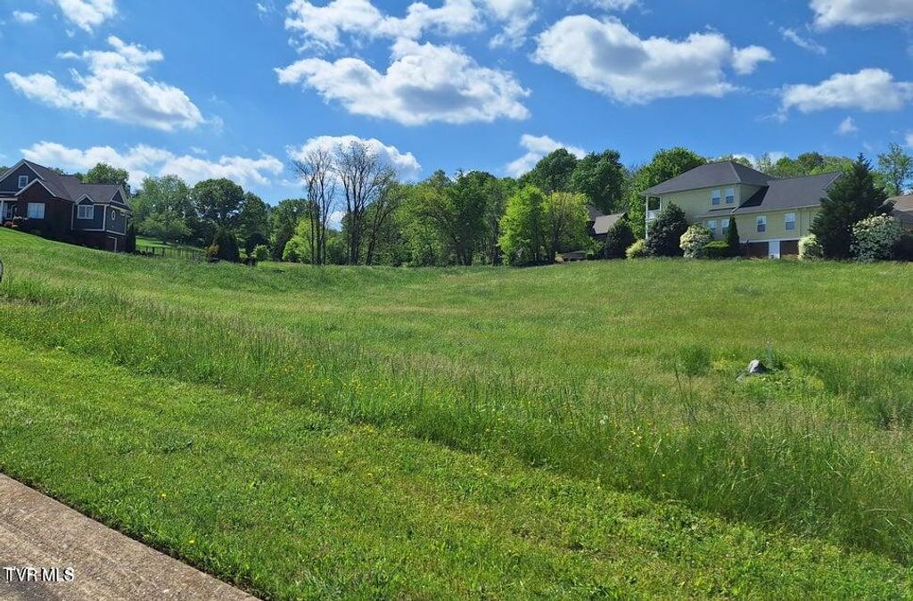 Photo of 101 Forest Lane, Blountville, TN 37617 (MLS # 9988932)