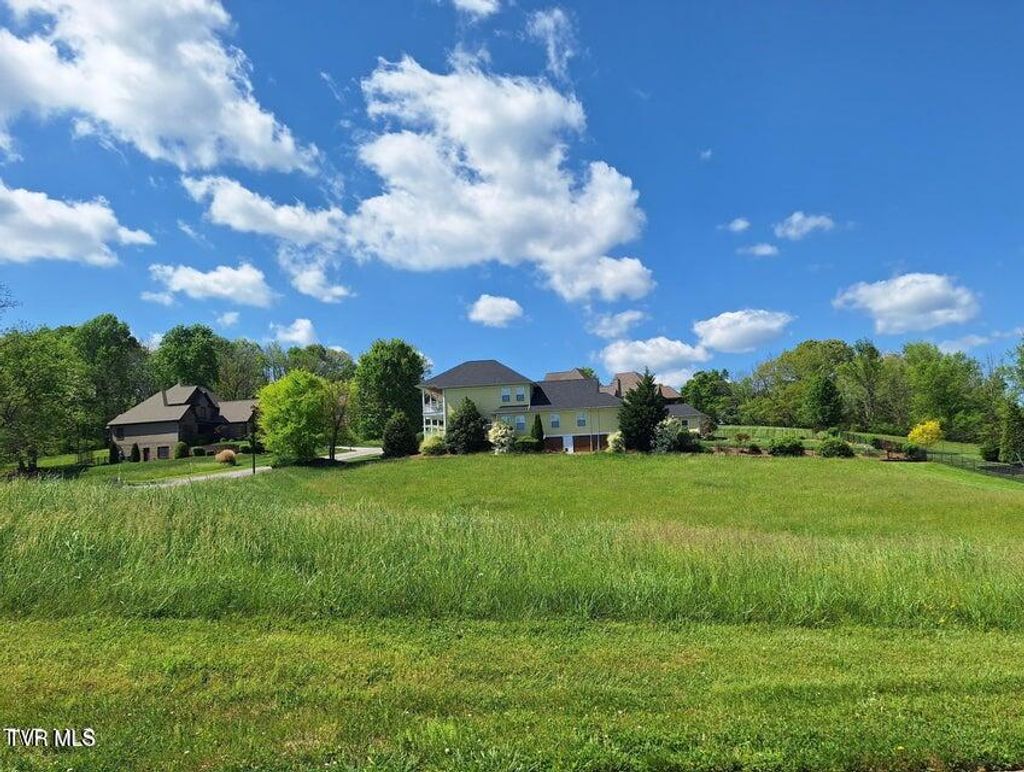 Photo of 101 Forest Lane, Blountville, TN 37617 (MLS # 9988932)