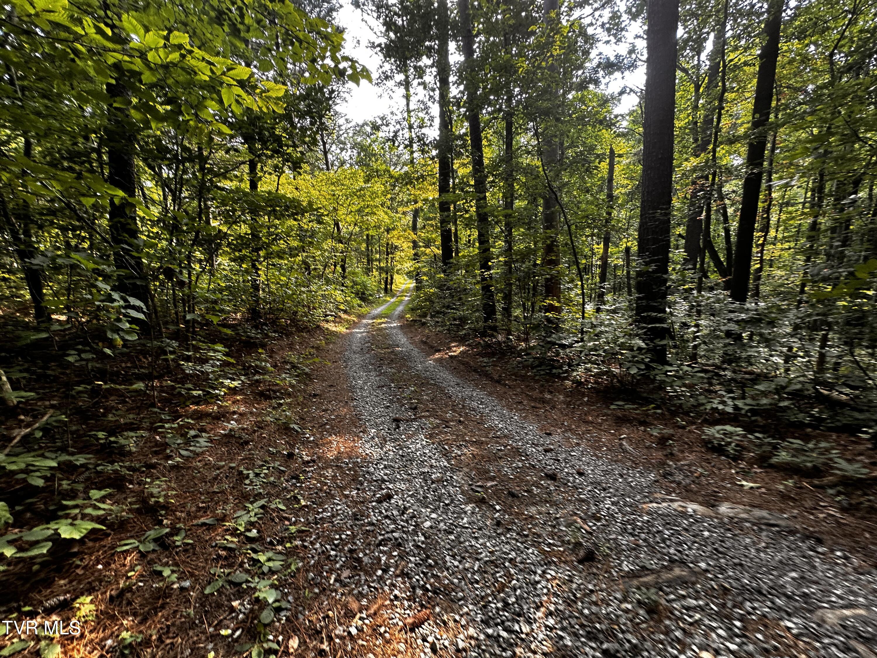 Tbd Promiseland Way, Greeneville, Tennessee image 22