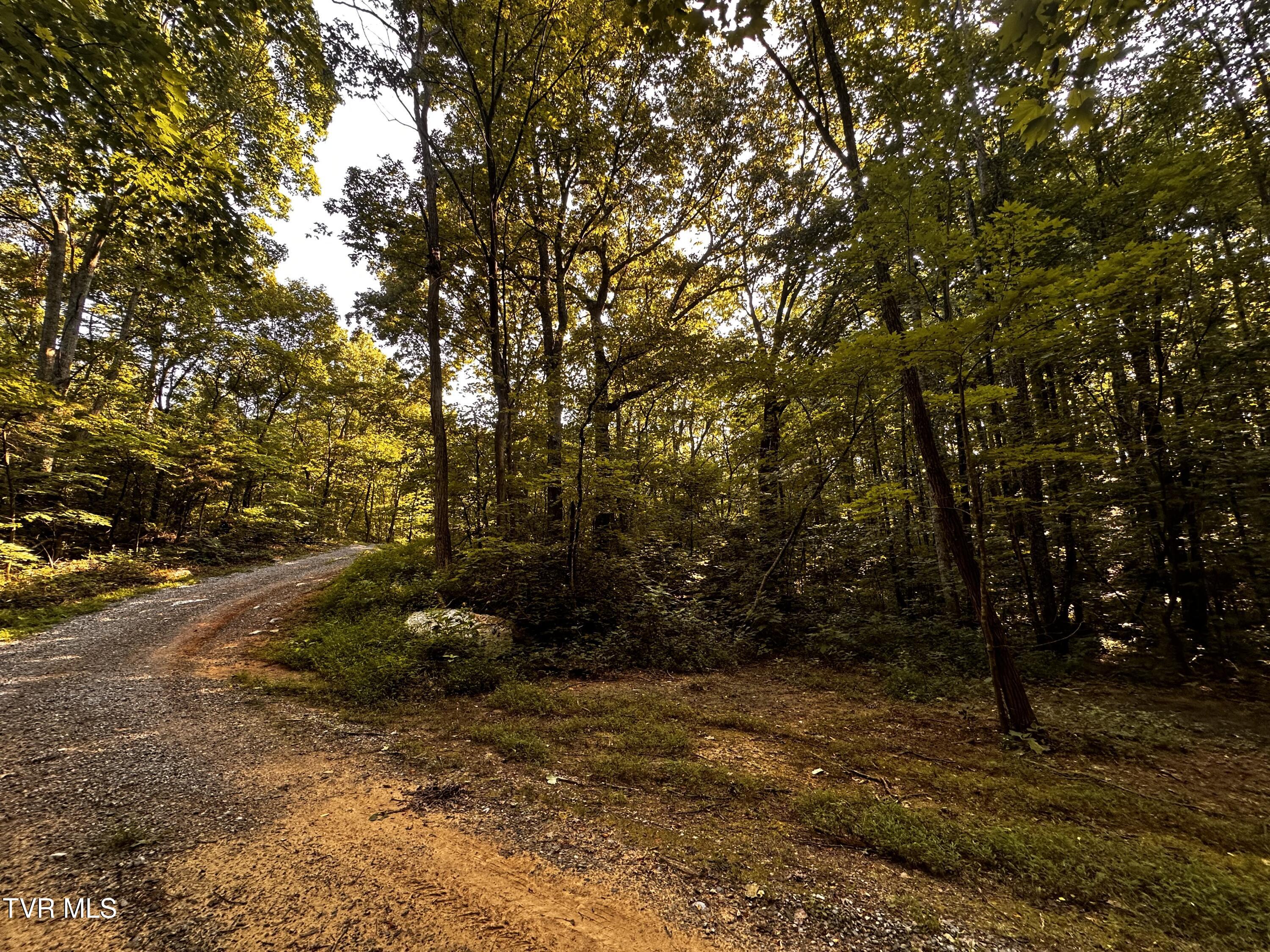 Tbd Promiseland Way, Greeneville, Tennessee image 25