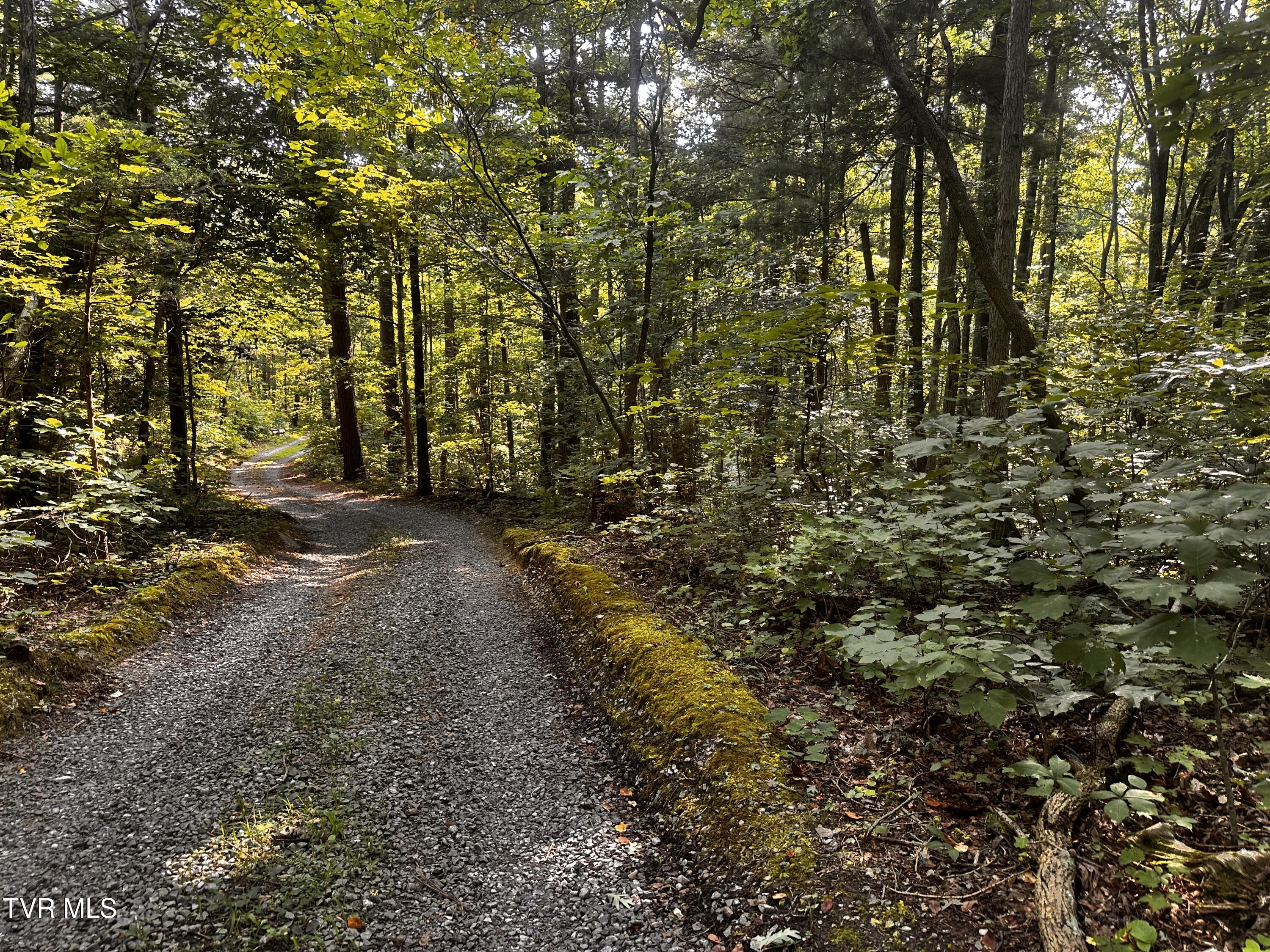 Tbd Promiseland Way, Greeneville, Tennessee image 20