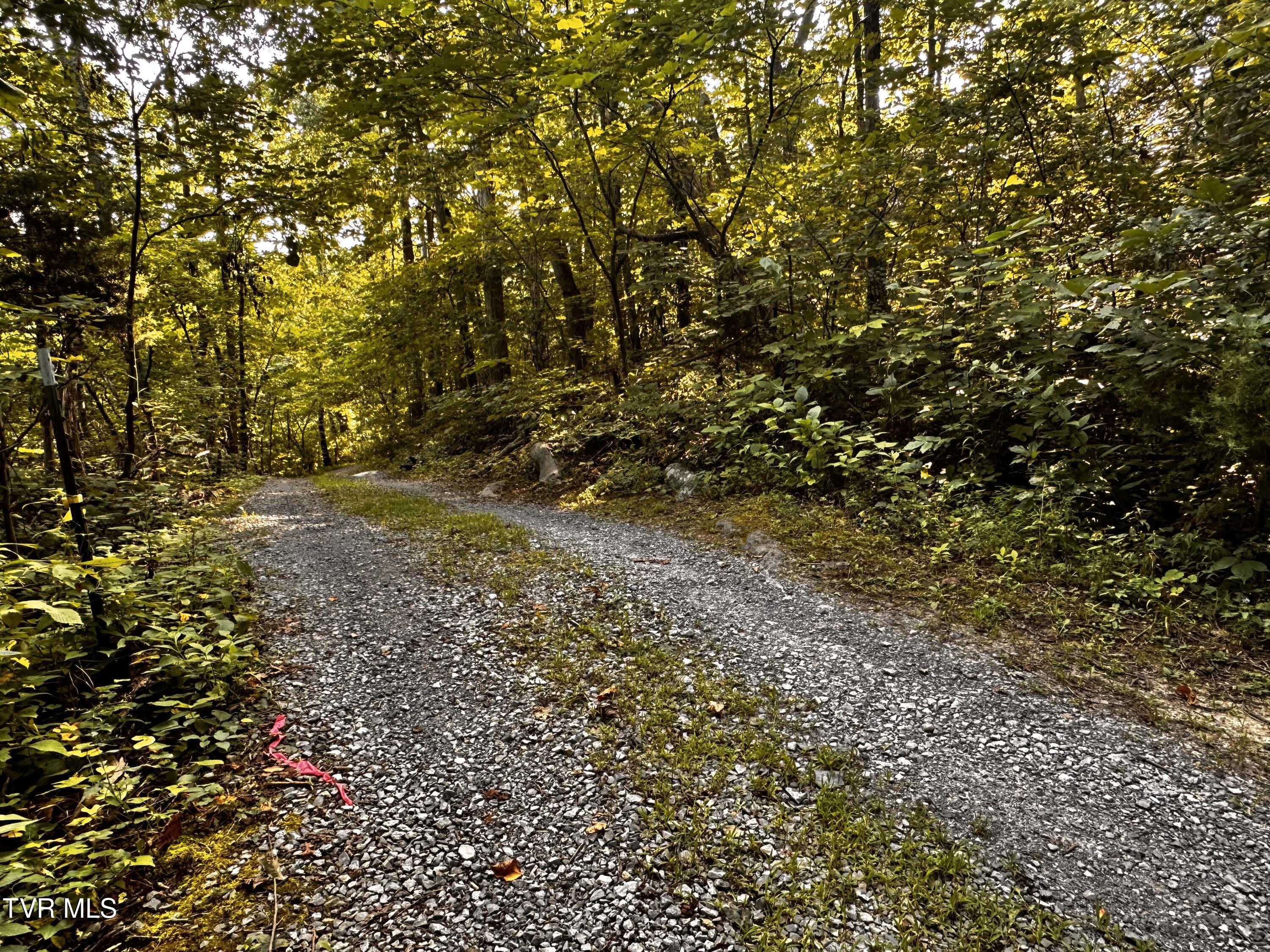 Tbd Promiseland Way, Greeneville, Tennessee image 13