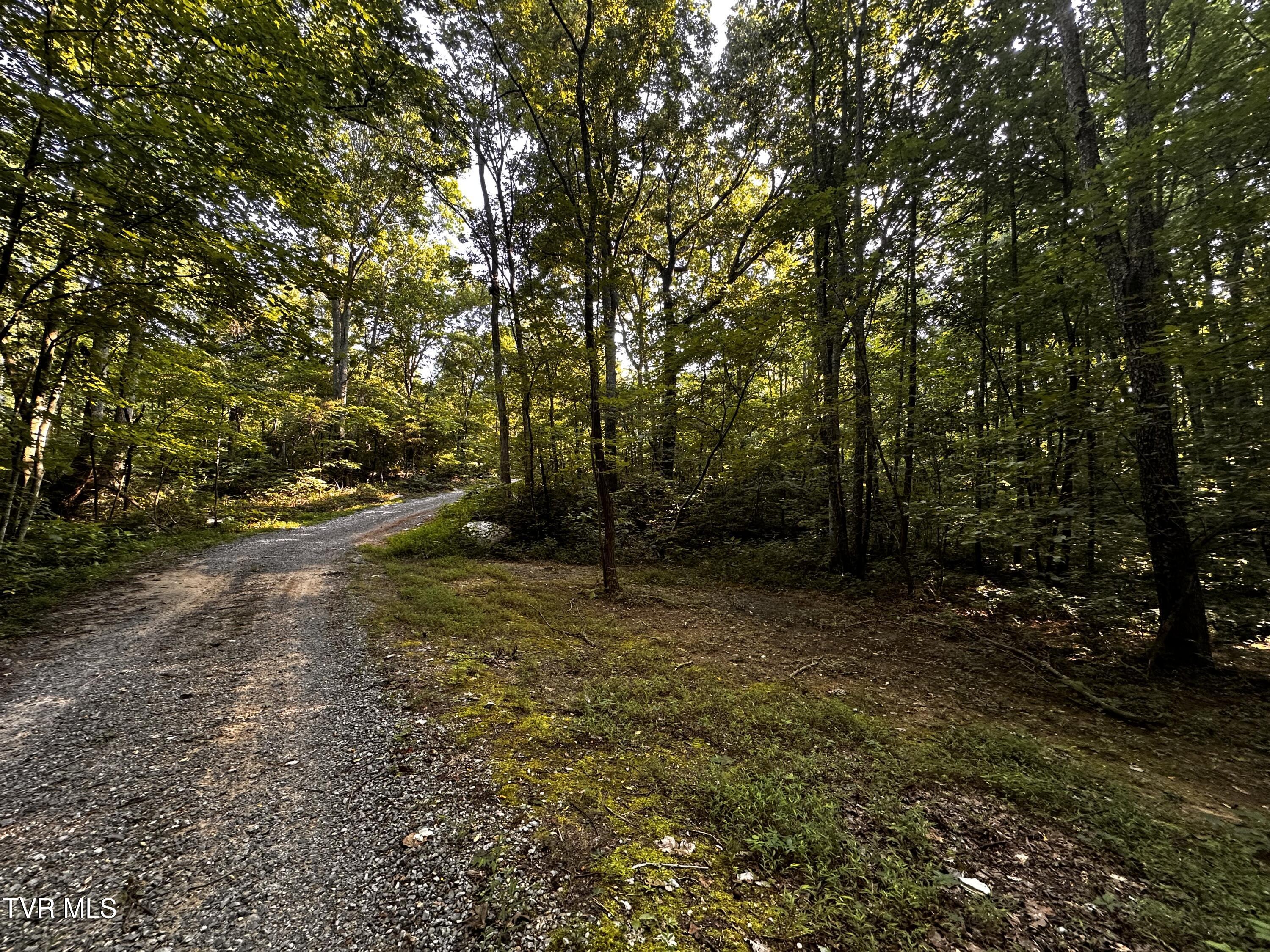 Tbd Promiseland Way, Greeneville, Tennessee image 24