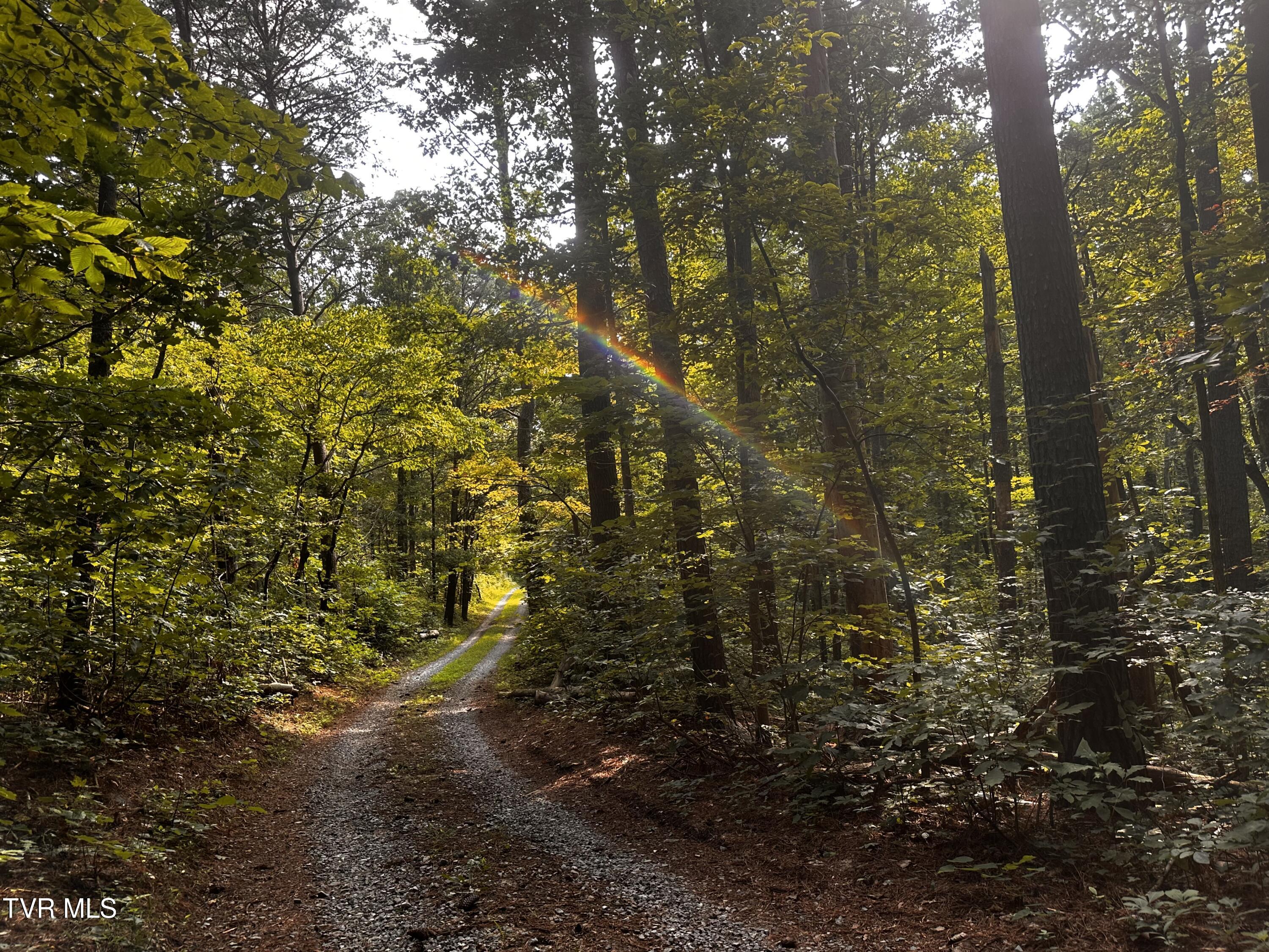 Tbd Promiseland Way, Greeneville, Tennessee image 18