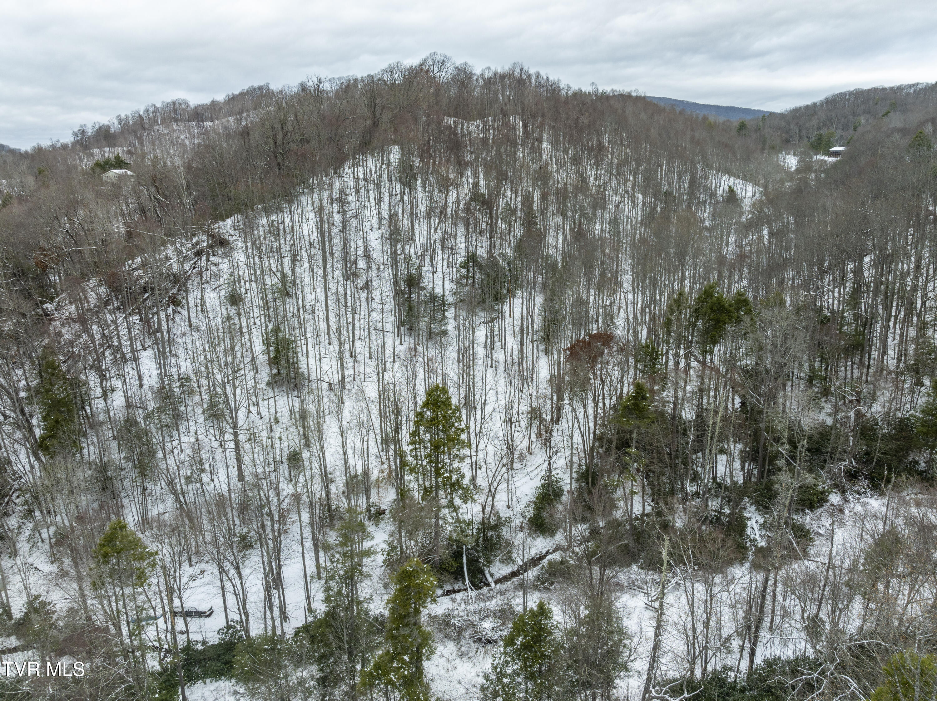 1255 Tiger Creek Road, Roan Mountain, Tennessee image 12