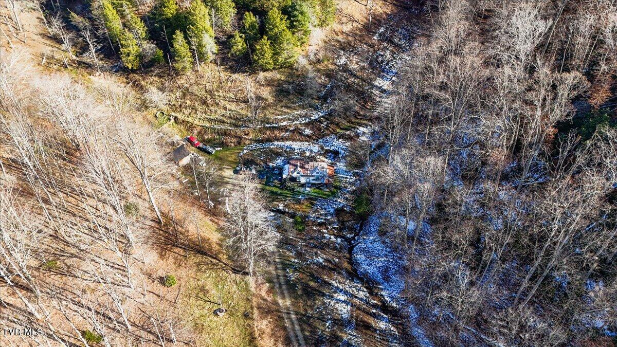 1255 Tiger Creek Road, Roan Mountain, Tennessee image 6