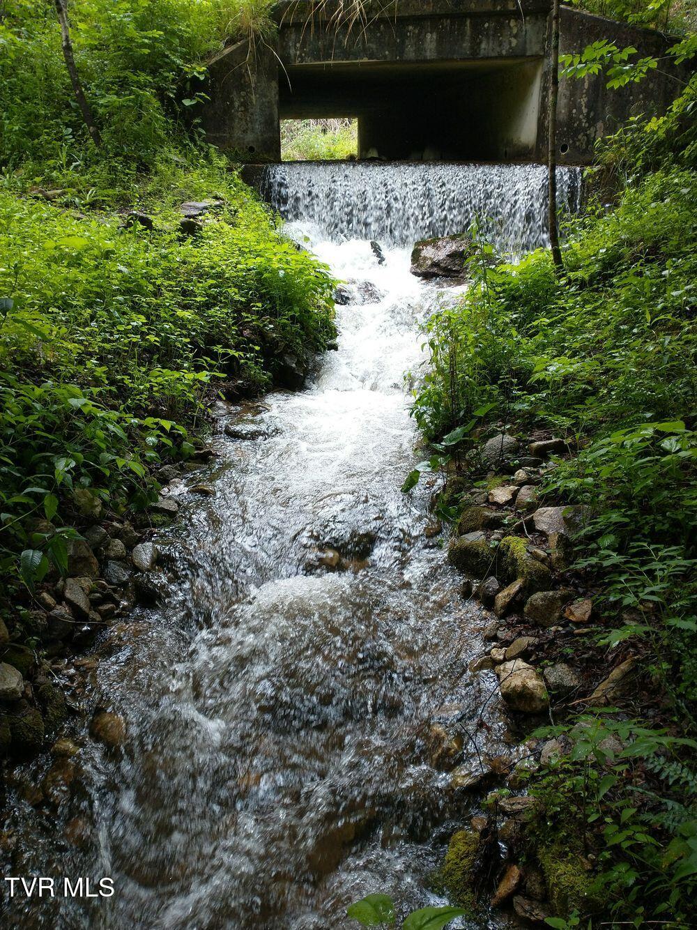 1255 Tiger Creek Road, Roan Mountain, Tennessee image 25