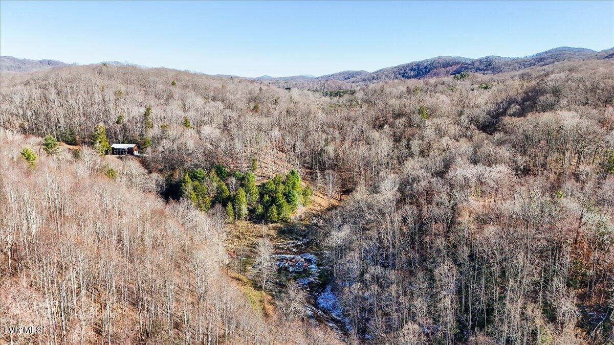 1255 Tiger Creek Road, Roan Mountain, Tennessee image 5