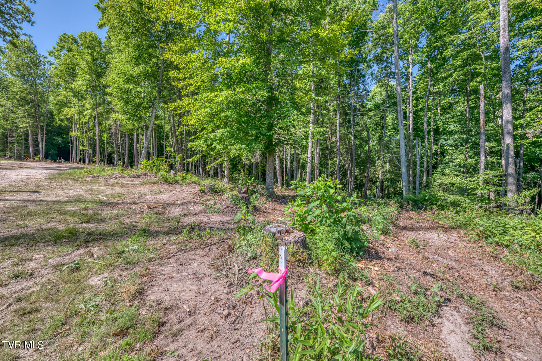 Tbd Sink Valley Road, Butler, Tennessee image 7