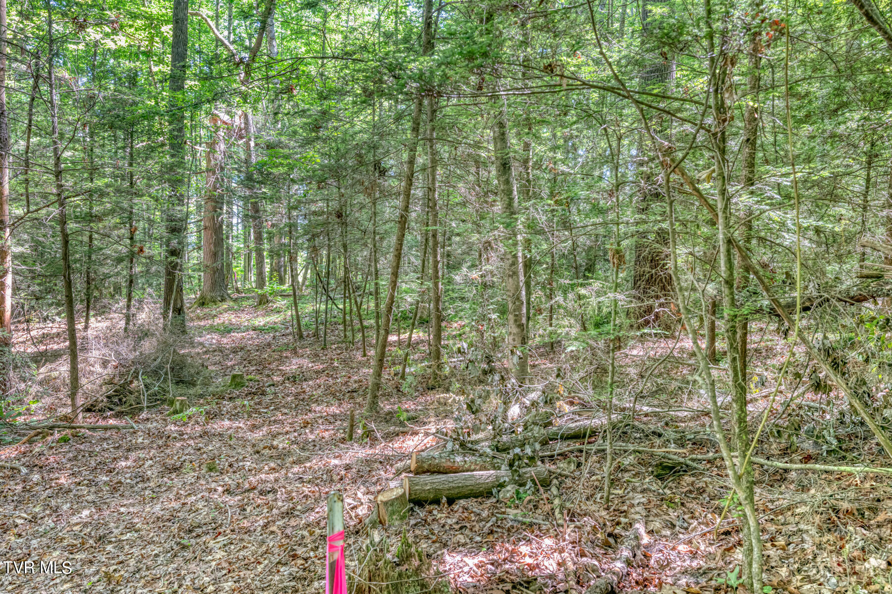 Tbd Sink Valley Road, Butler, Tennessee image 23