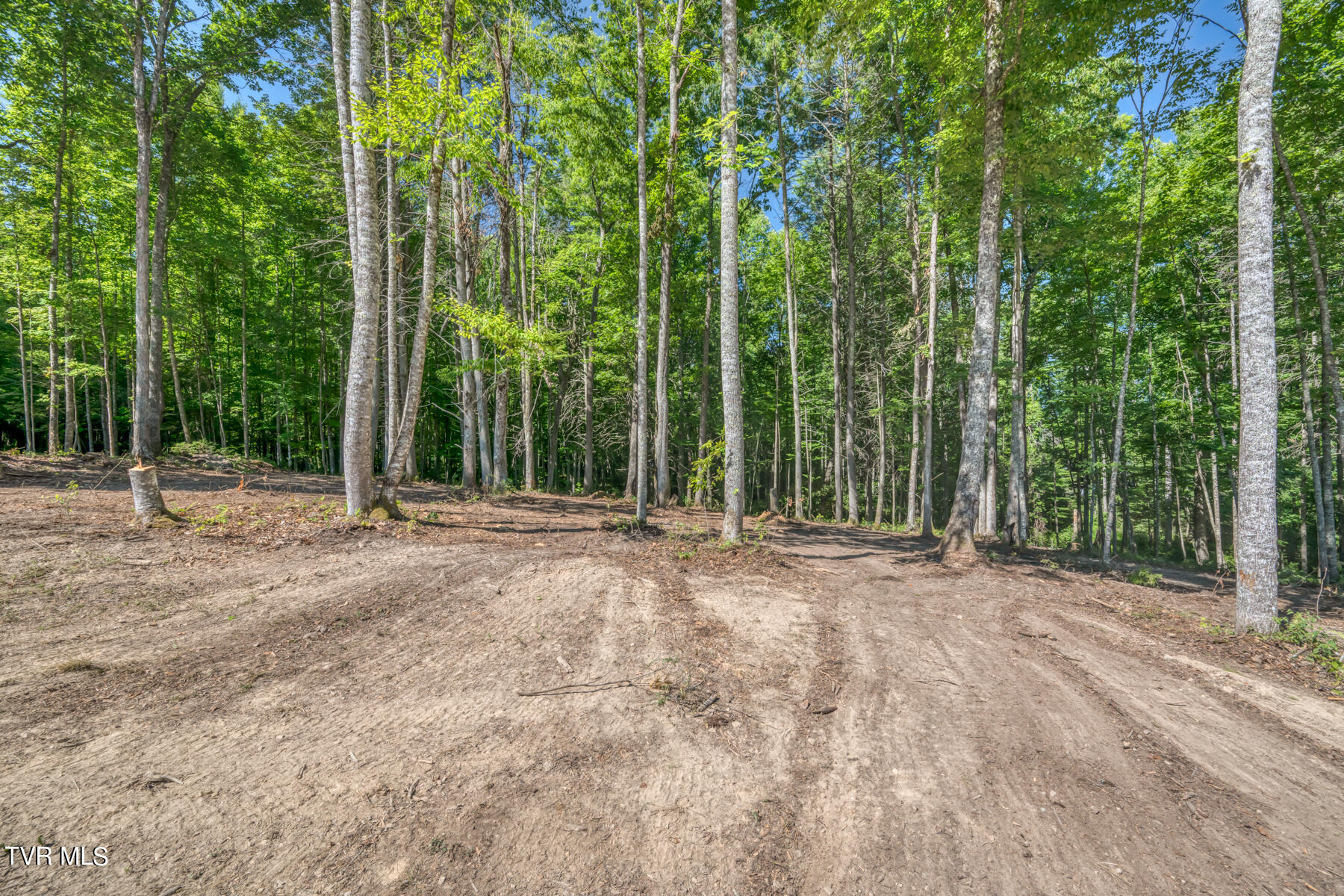 Tbd Sink Valley Road, Butler, Tennessee image 6