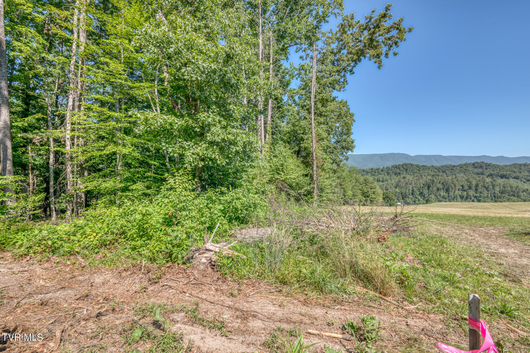 Tbd Sink Valley Road, Butler, Tennessee image 1