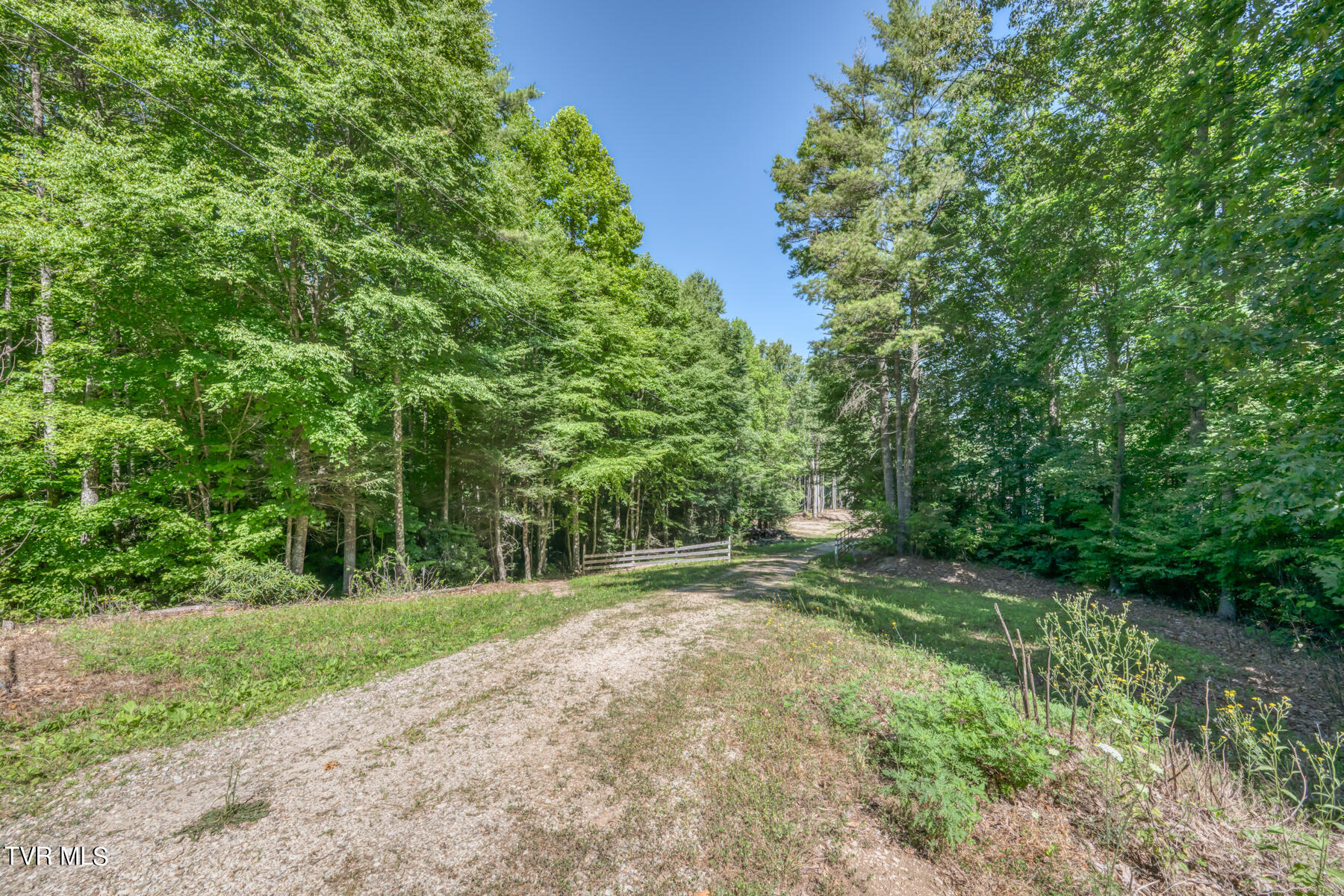 Tbd Sink Valley Road, Butler, Tennessee image 9