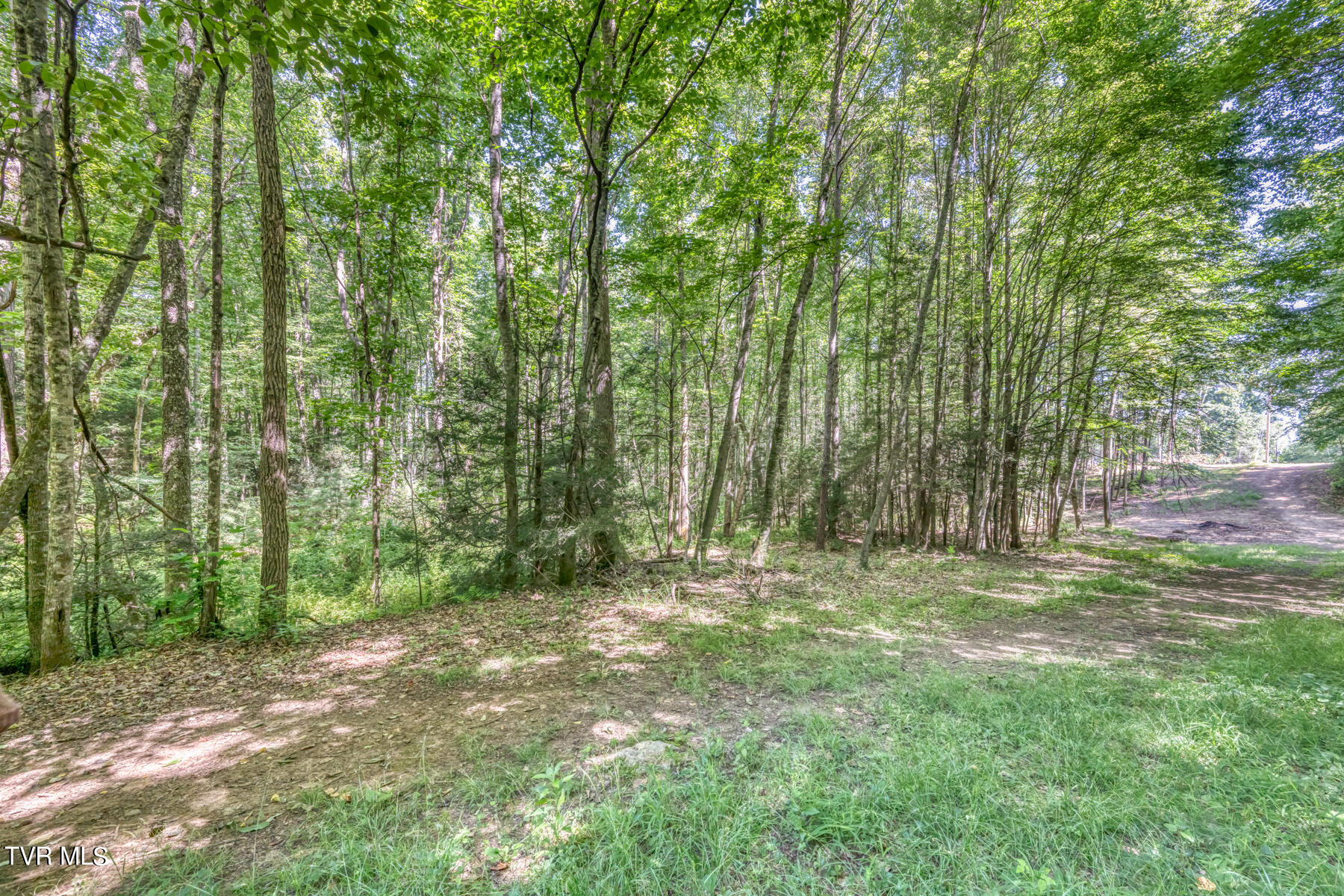 Tbd Sink Valley Road, Butler, Tennessee image 18