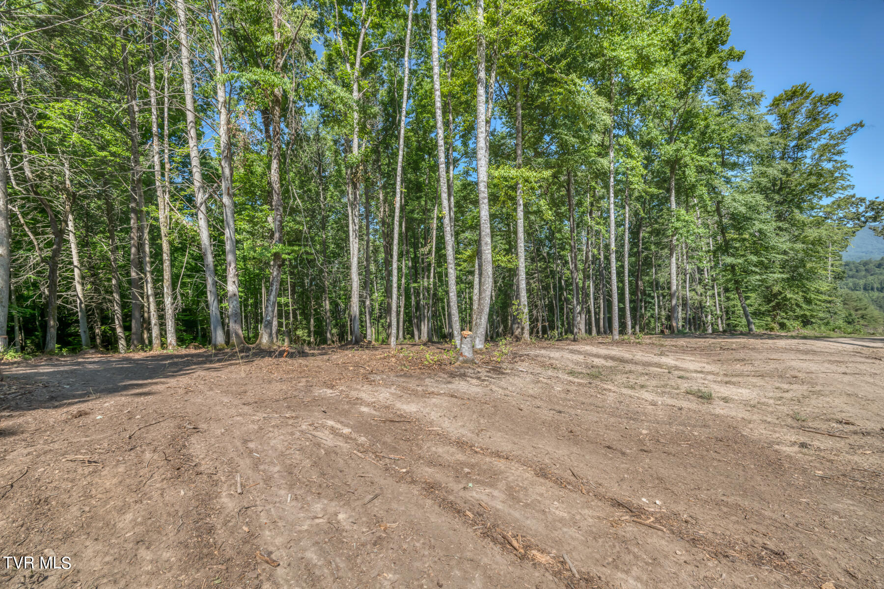 Tbd Sink Valley Road, Butler, Tennessee image 8