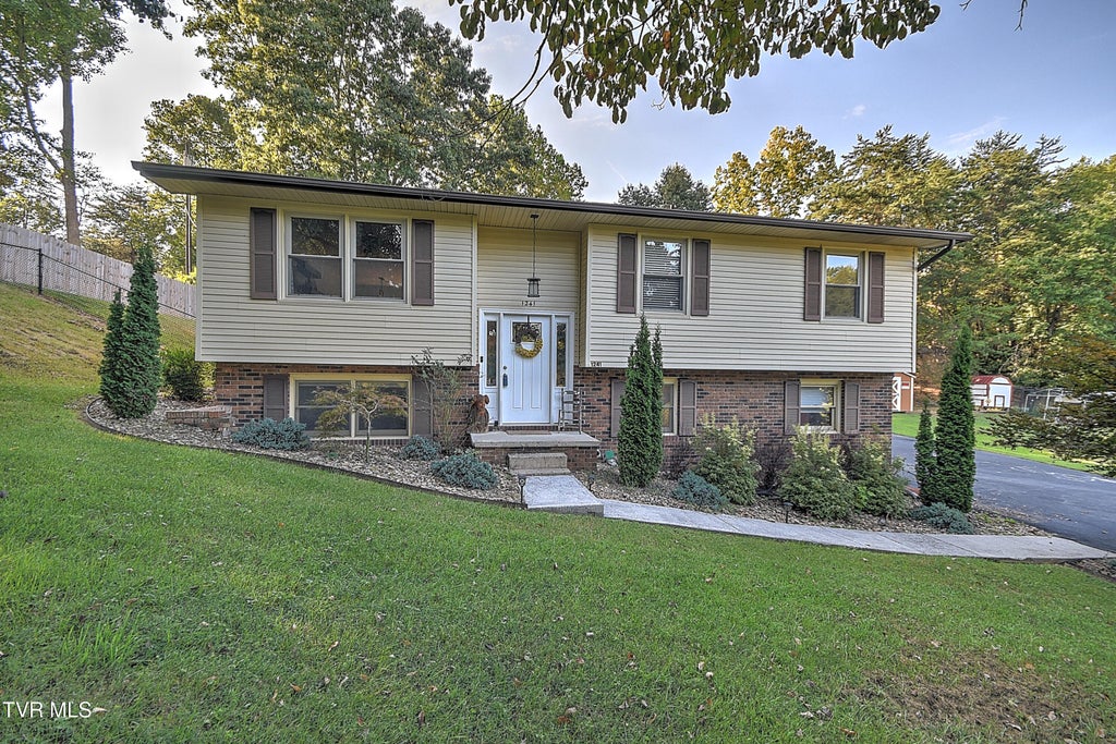 Photo of 1241 Nassau Drive, Kingsport, TN 37660 (MLS # 10000794)