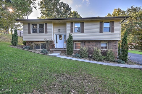 Photo of 1241 Nassau Drive, Kingsport, TN 37660 (MLS # 10000794)