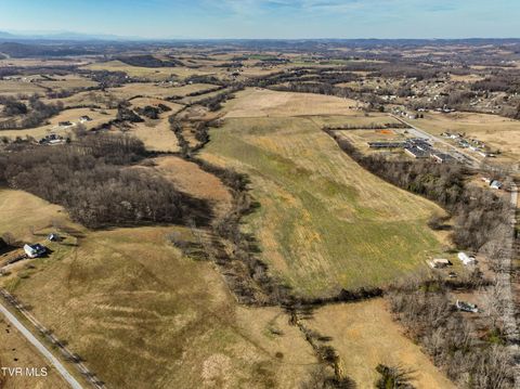 Vacant Land For Sale - TBD Old State Route 34<br/> Limestone, TN 37681