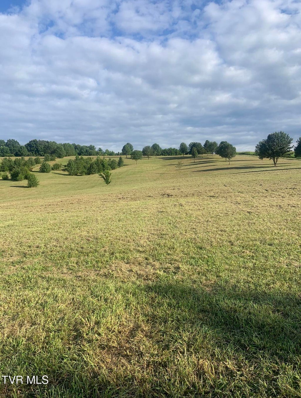 Photo of 2570 Shiloh Road #6-7, Greeneville, TN 37745 (MLS # 10000801)