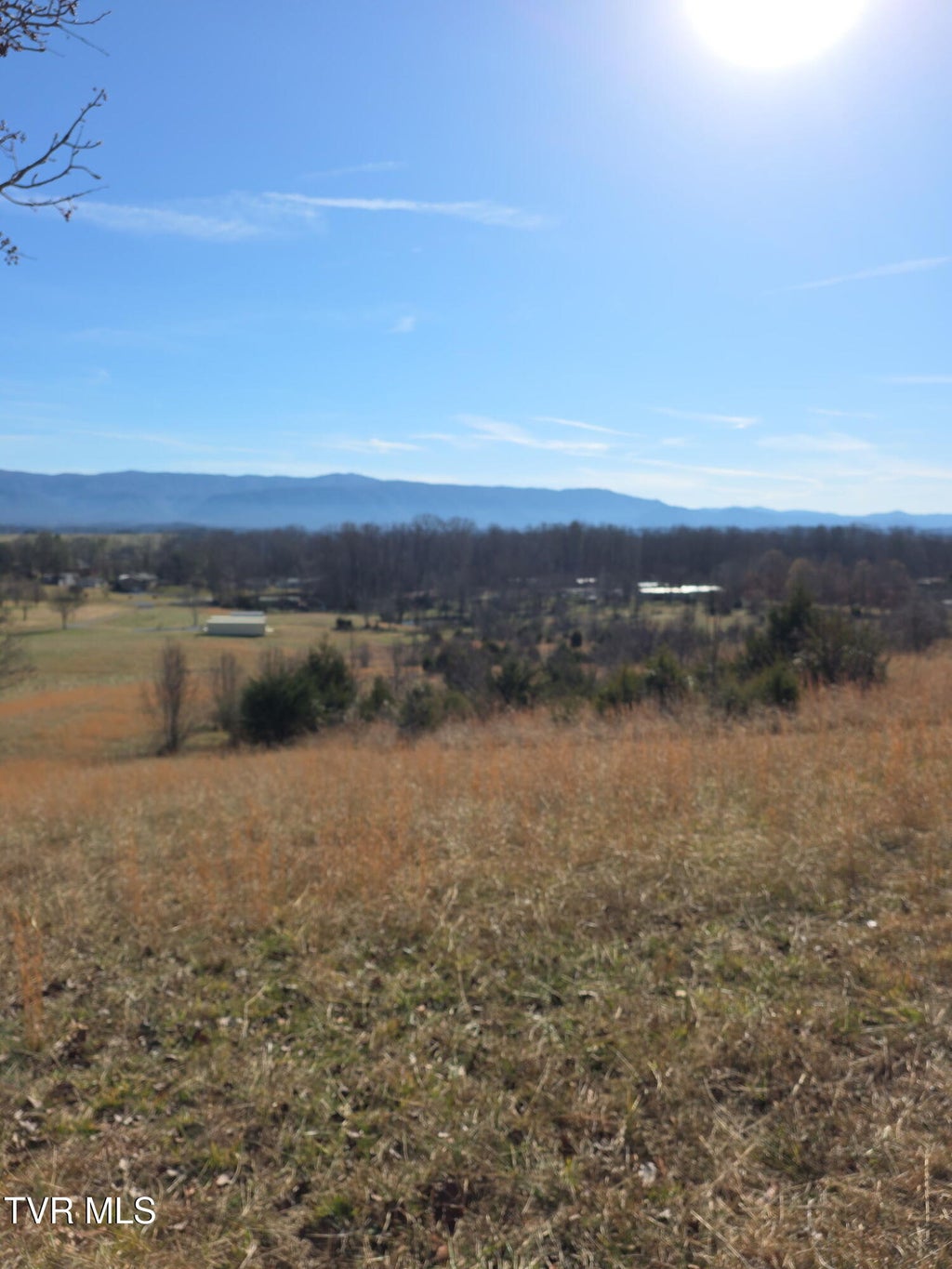 Photo of 2570 Shiloh Road #6-7, Greeneville, TN 37745 (MLS # 10000801)