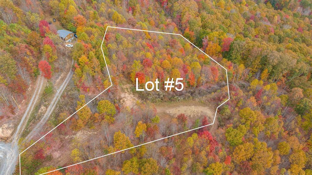 Photo of Tbd Purple Glory Lot 5, Duffield, VA 24244 (MLS # 9958700)