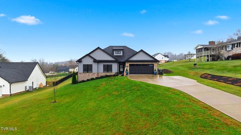 Photo of 153 Hillrise Road, Johnson City, TN 37615 (MLS # 9988764)
