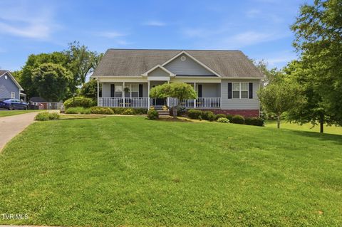 Homes For Sale - 116 Pine Bark Drive<br/> Jonesborough, TN 37659