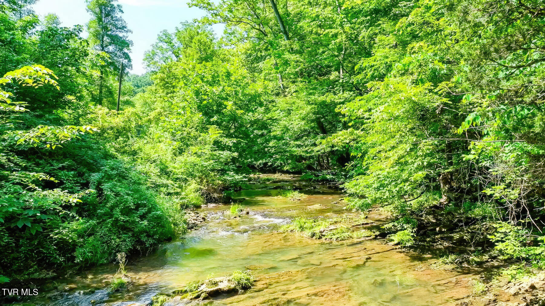 Tbd Eb Hollow Road, Eidson, Tennessee image 10