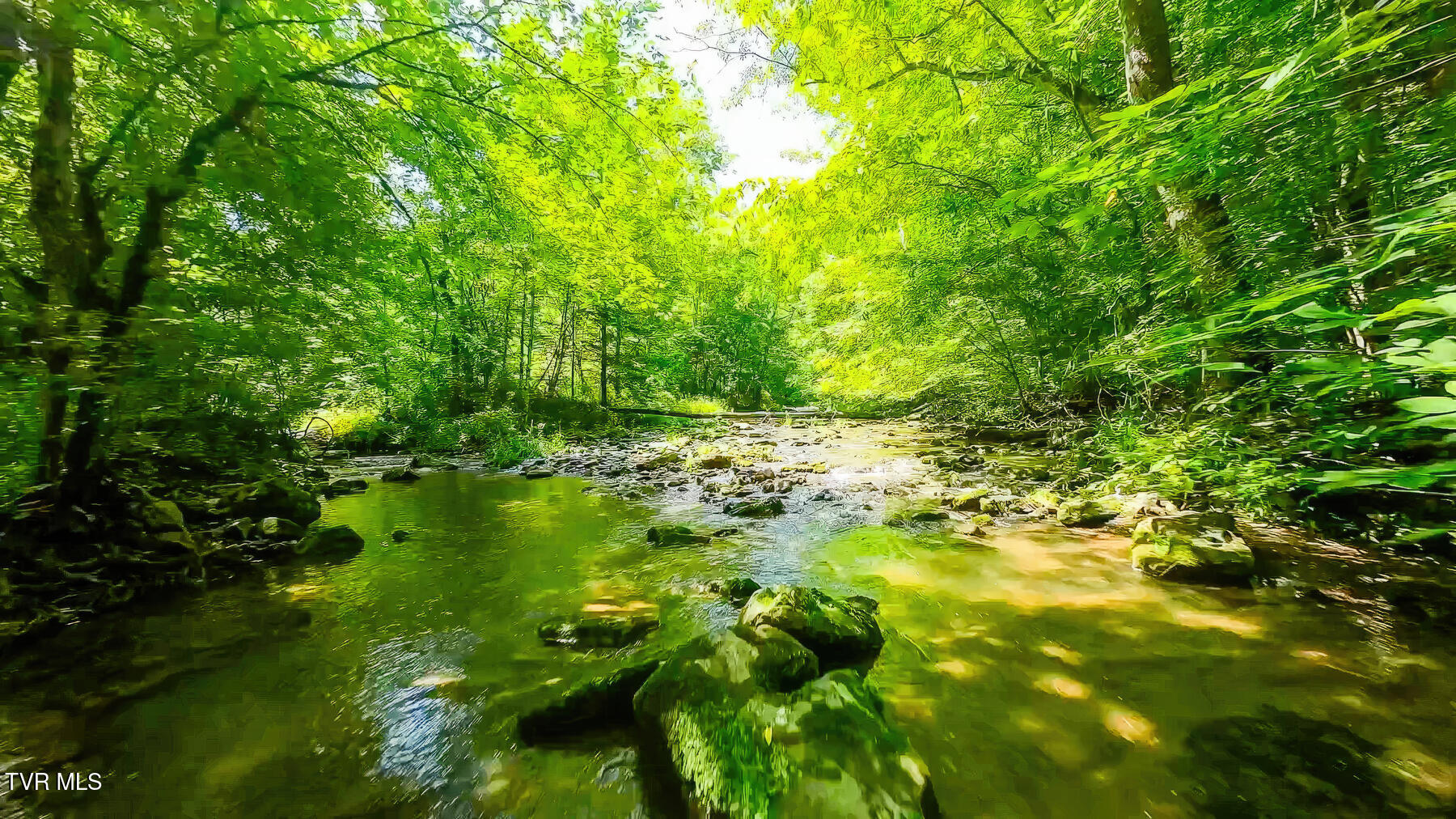Tbd Eb Hollow Road, Eidson, Tennessee image 15
