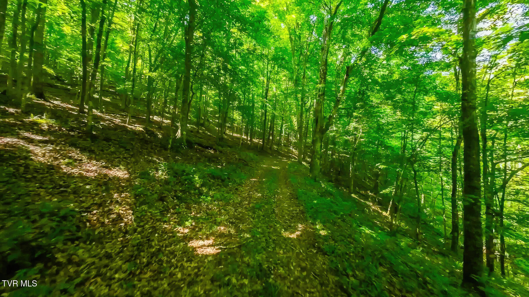 Tbd Eb Hollow Road, Eidson, Tennessee image 12