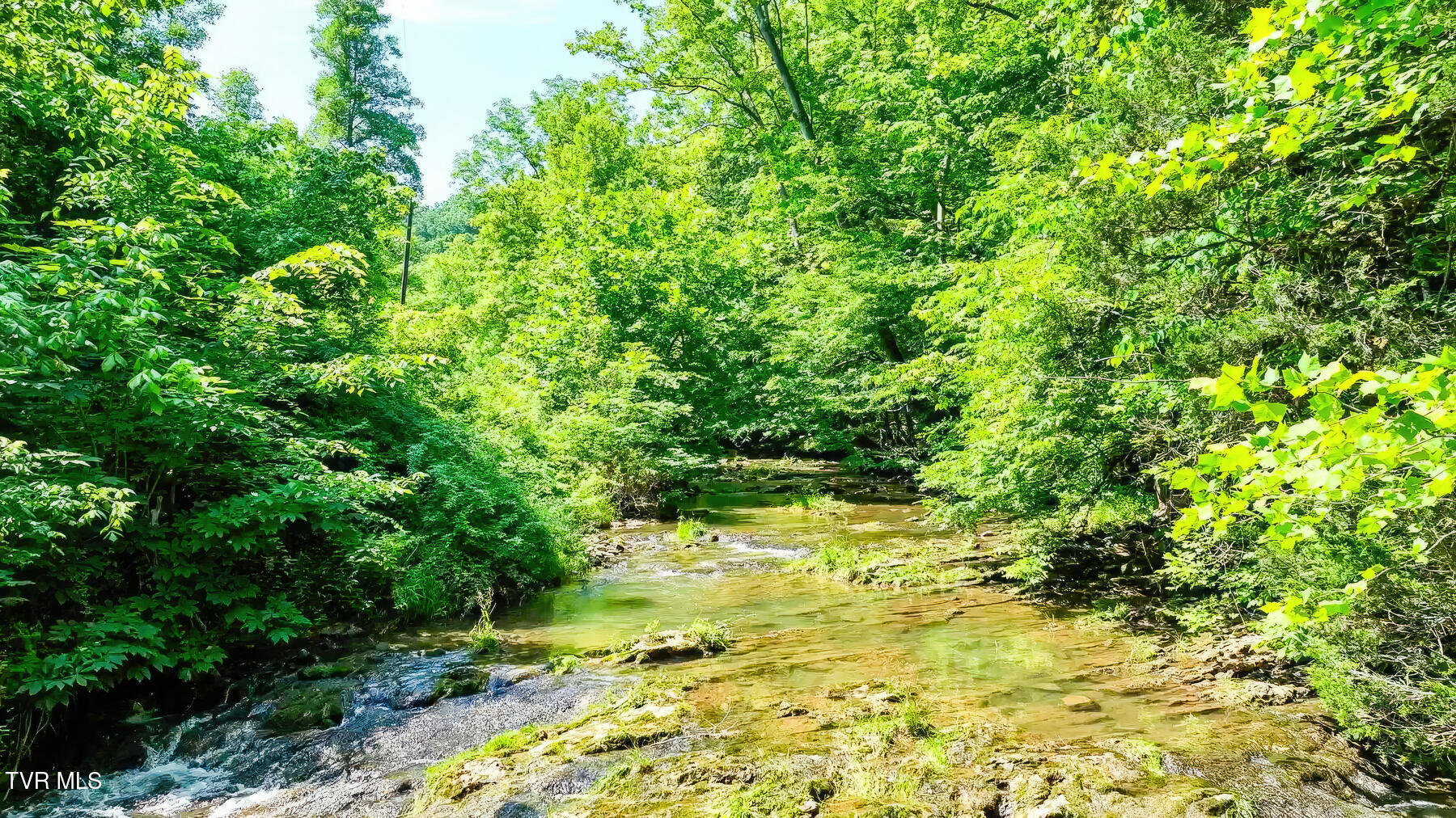 Tbd Eb Hollow Road, Eidson, Tennessee image 9