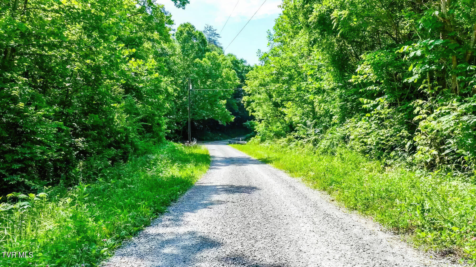 Tbd Eb Hollow Road, Eidson, Tennessee image 11