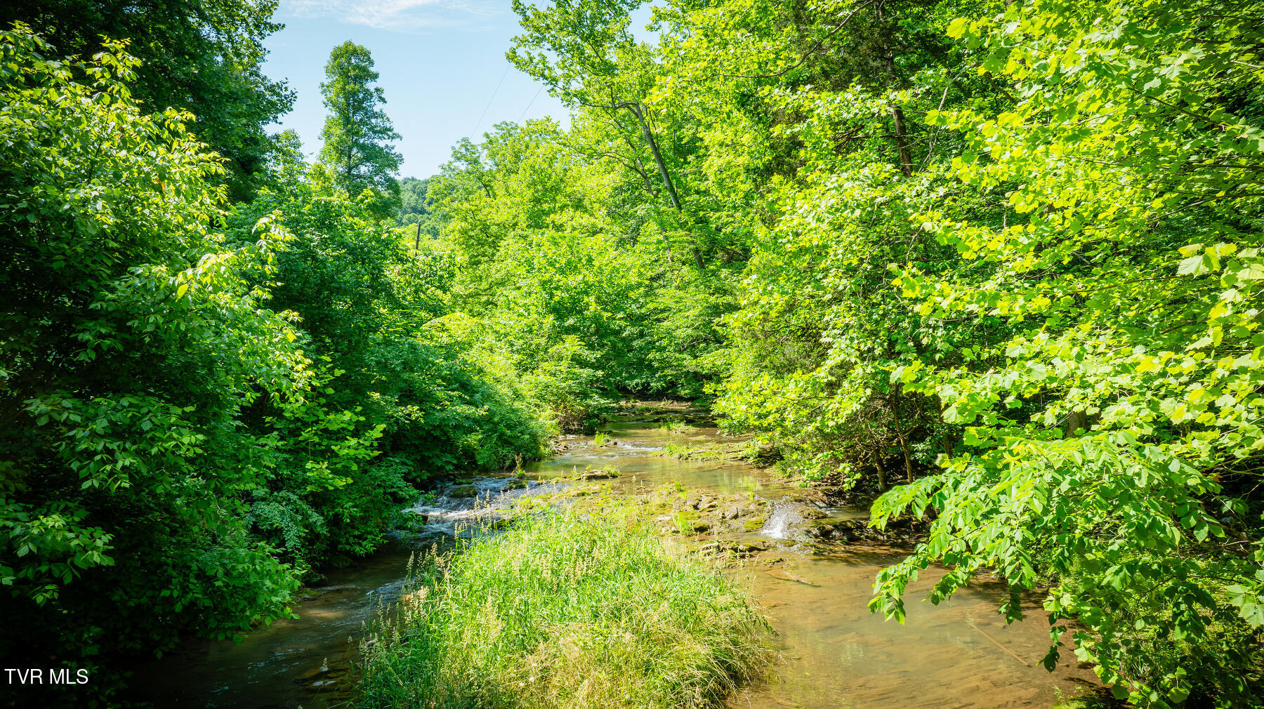 Tbd Eb Hollow Road, Eidson, Tennessee image 7
