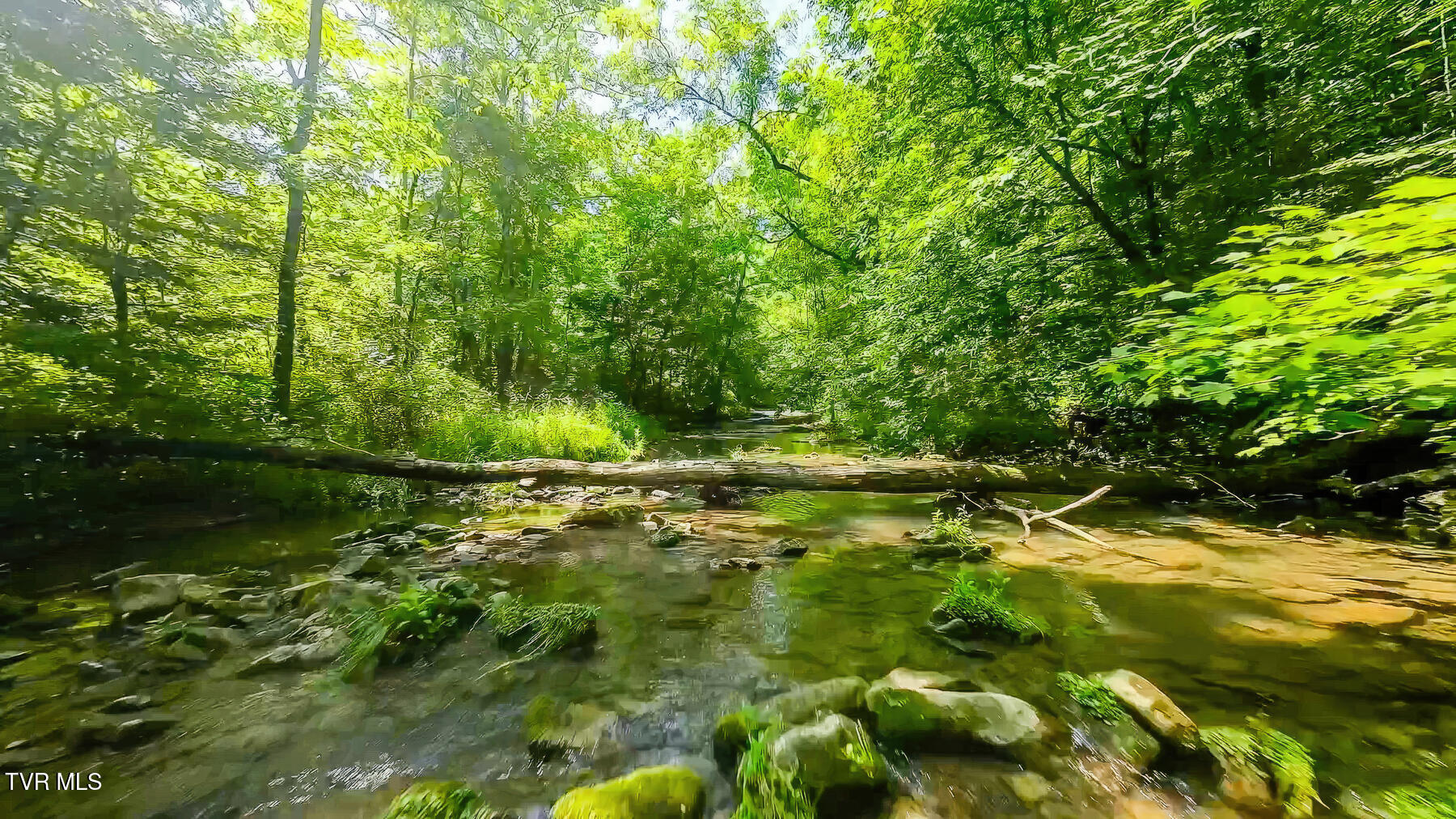 Tbd Eb Hollow Road, Eidson, Tennessee image 14