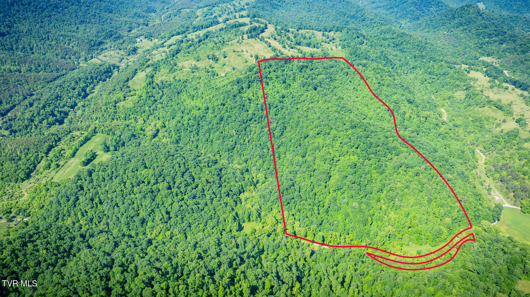 Tbd Eb Hollow Road, Eidson, Tennessee image 1