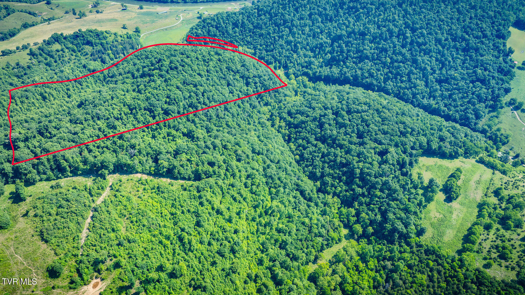 Tbd Eb Hollow Road, Eidson, Tennessee image 16