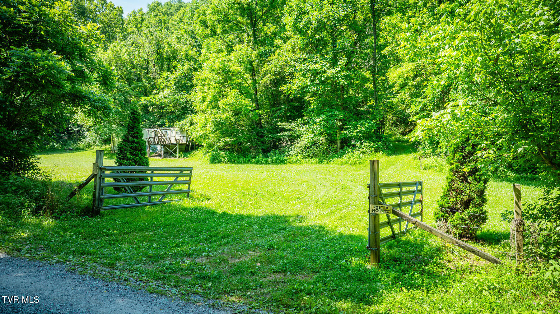 Tbd Eb Hollow Road, Eidson, Tennessee image 3