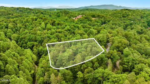 Vacant Land For Sale - TBD King Drive<br/> Sevier County, Gatlinburg, TN 37738
