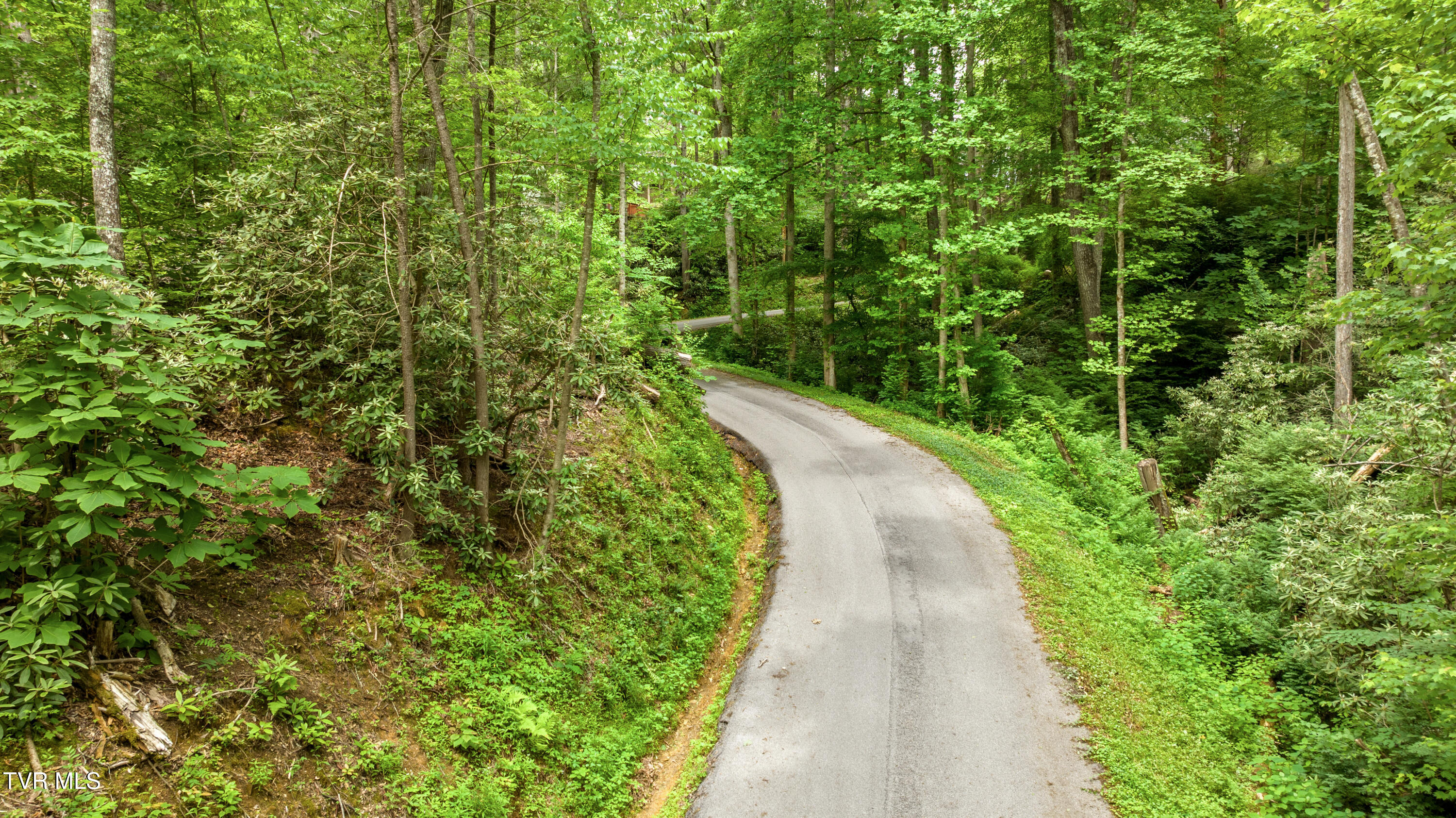 Tbd King Drive, Gatlinburg, Tennessee image 8