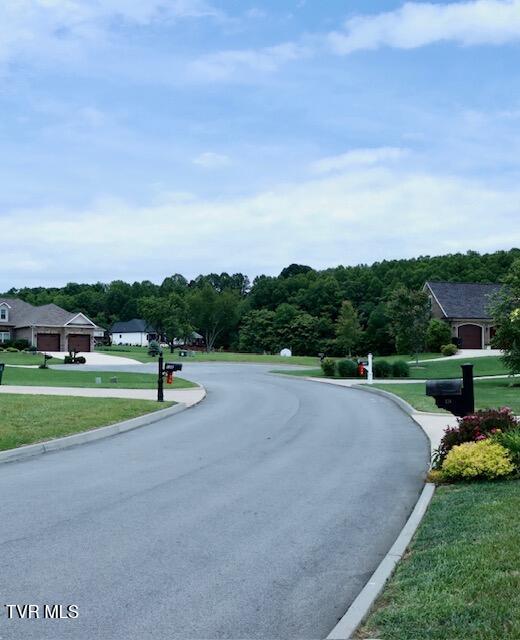 110 Rhetts Way, Jonesborough, Tennessee image 36
