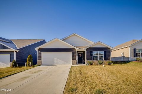 Photo of 169 Crawford Circle, Bristol, TN 37620 (MLS # 9990197)