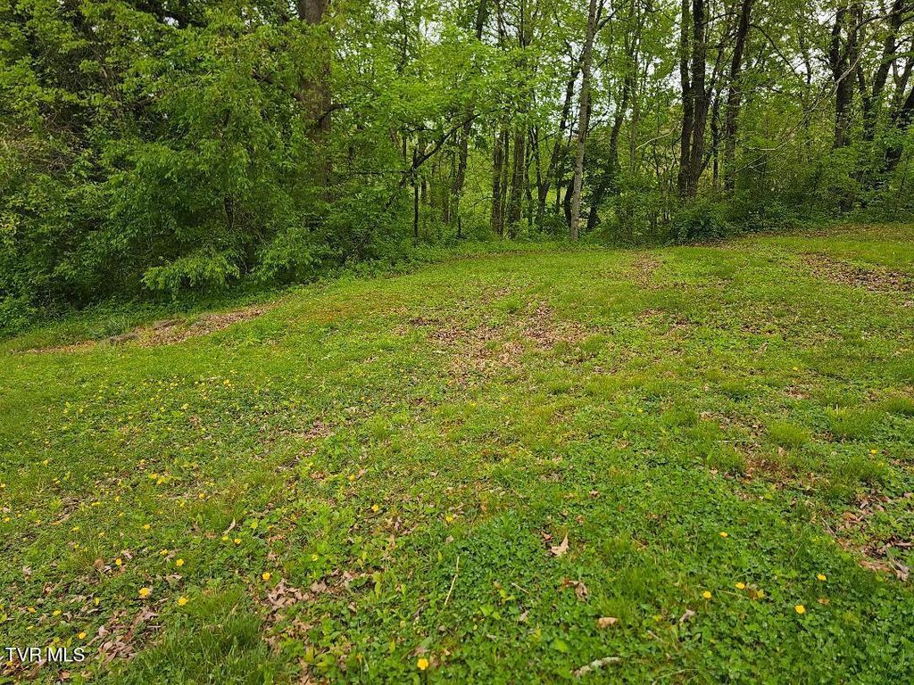 Photo of 0 Park Avenue, Norton, VA 24273 (MLS # 9994696)