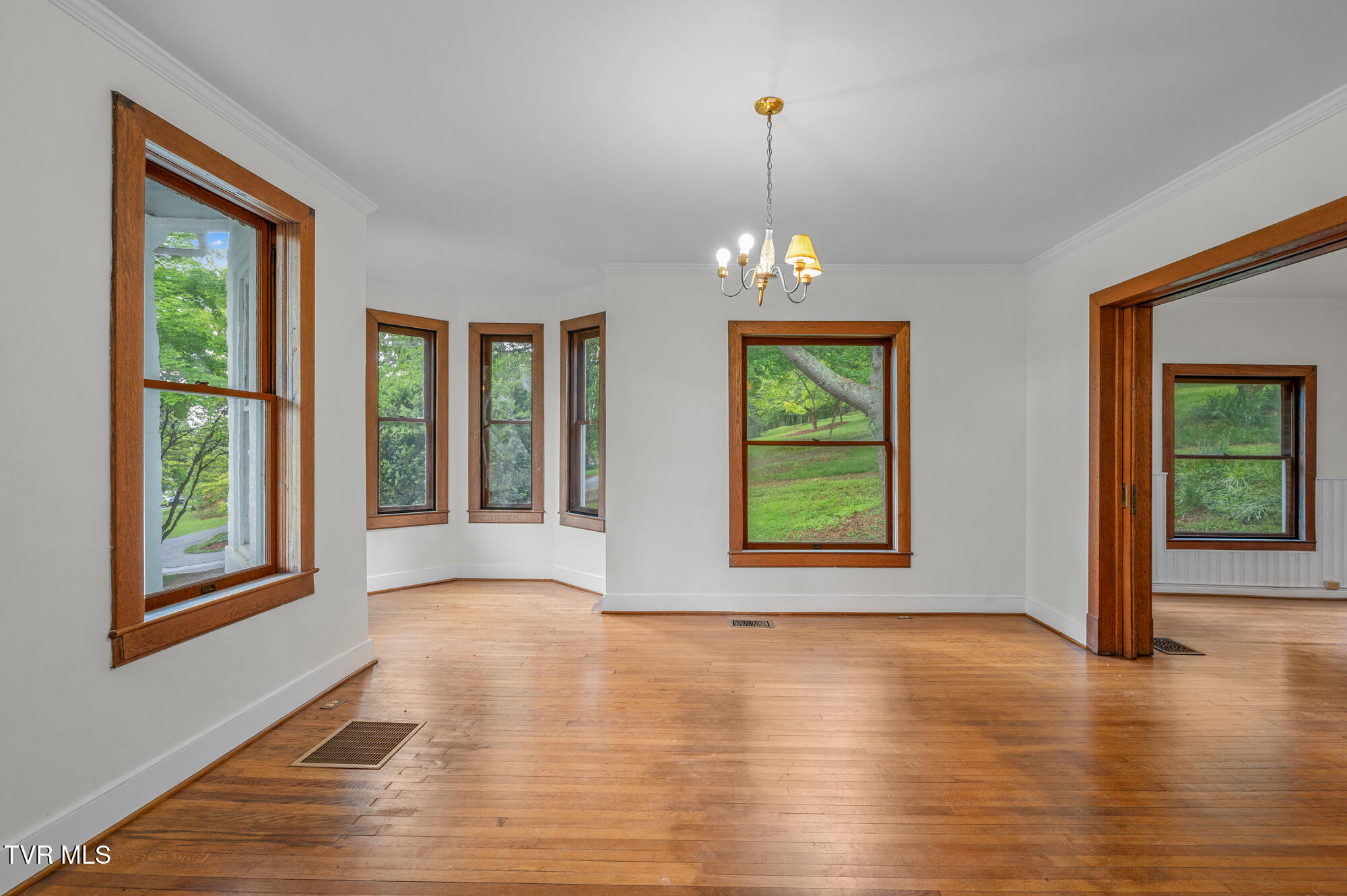 243 Mason Place, Abingdon, Virginia image 20